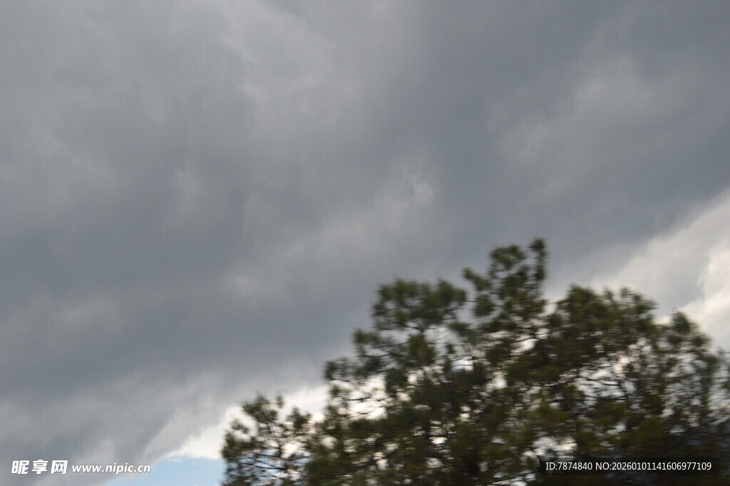 乌云下的树梢