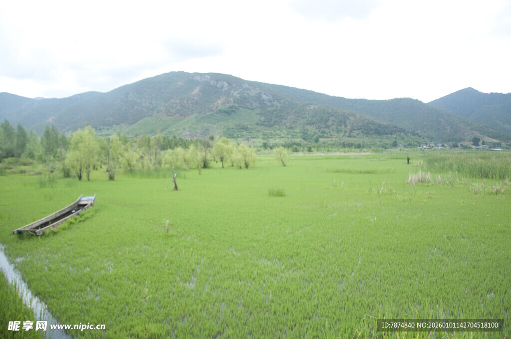 绿色田野与远处青山美景