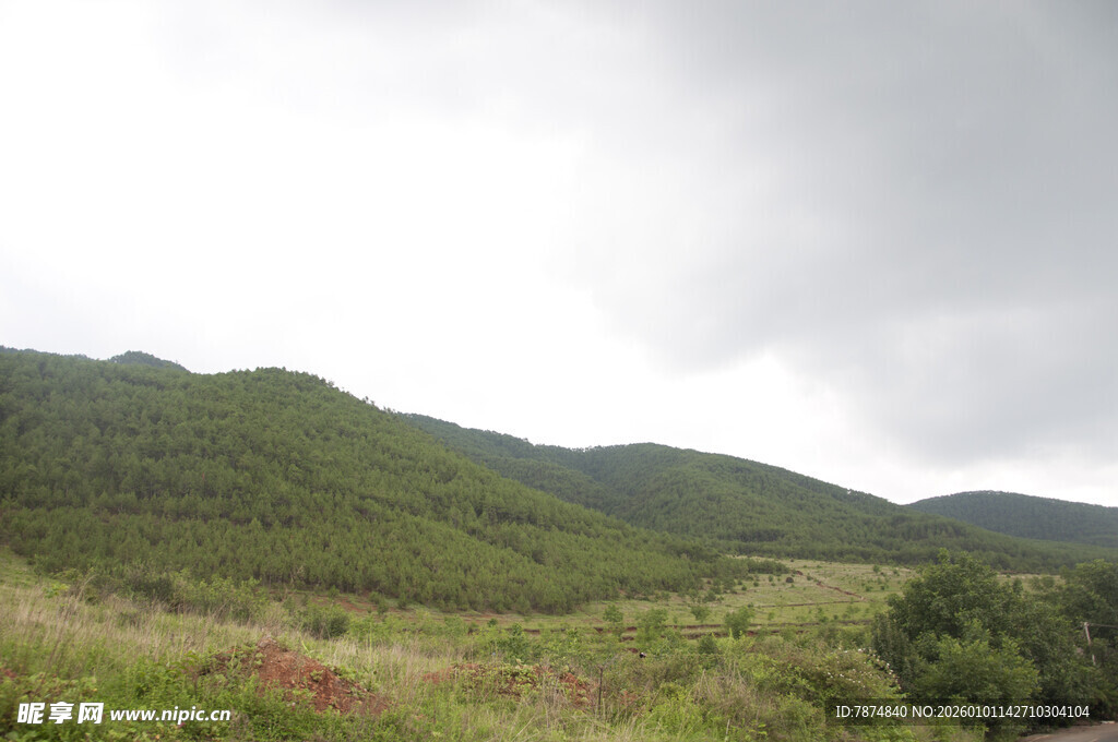 山间绿意盎然的自然风光