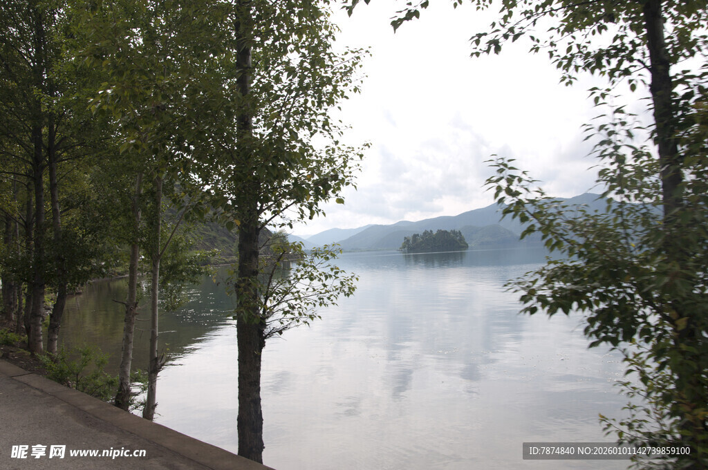 湖畔晨景 树木与雾霭相融