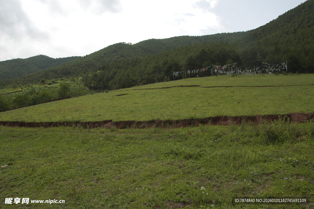 山间翠绿草地风景如画