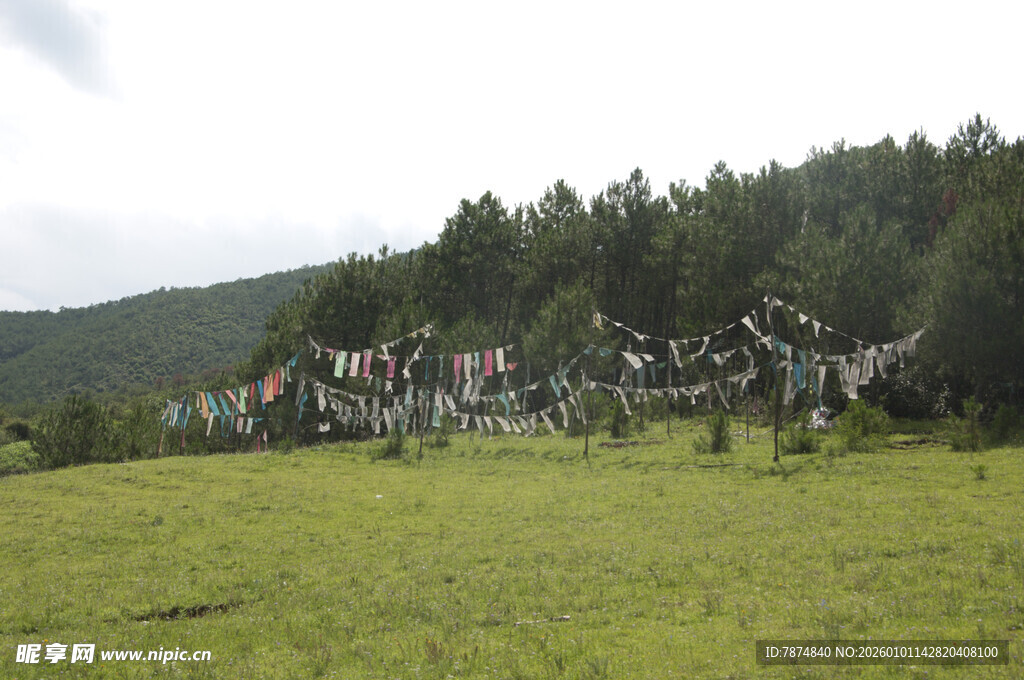 草原上的建筑与茂密树林
