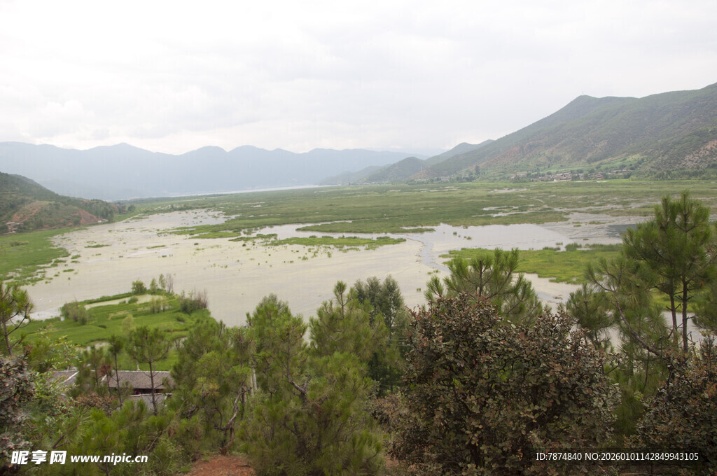 山间河谷绿意盎然美景