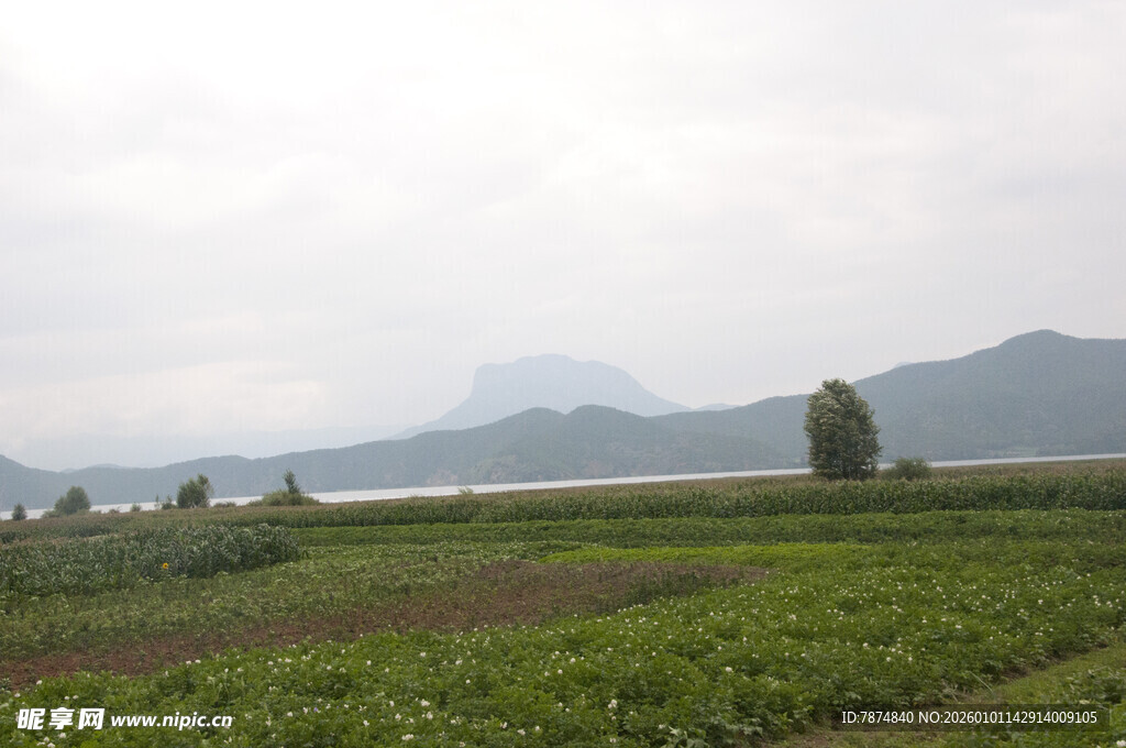 田园风光中的远山与农田