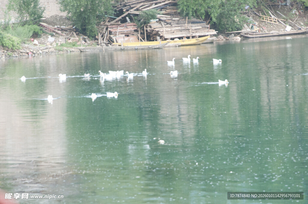 湖面上的白色鸟儿与小船