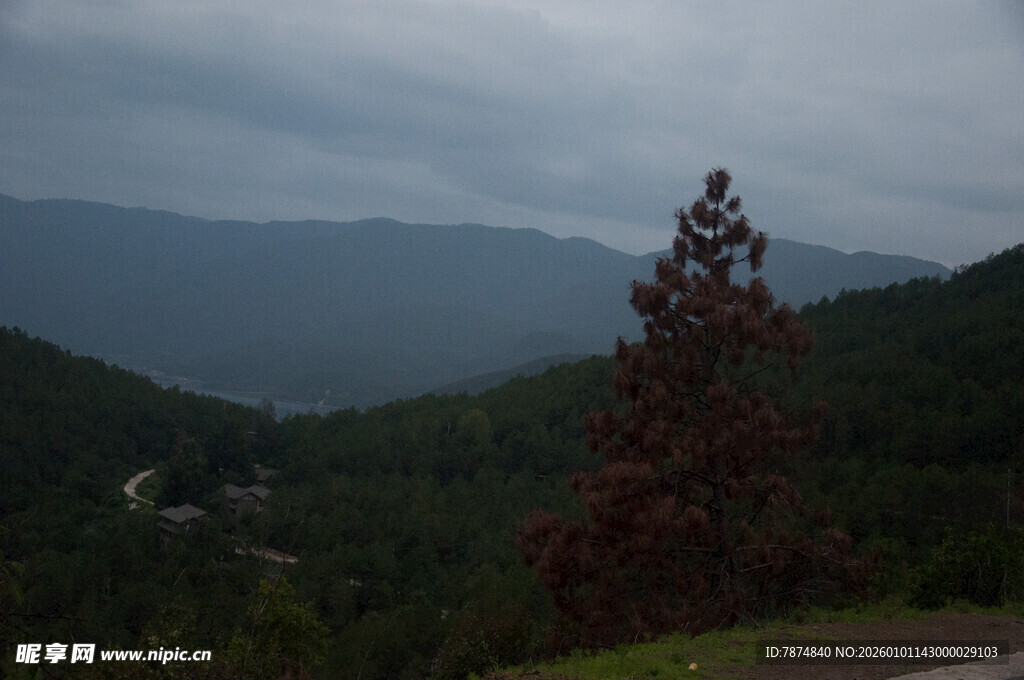 山间红树映幽远山峦