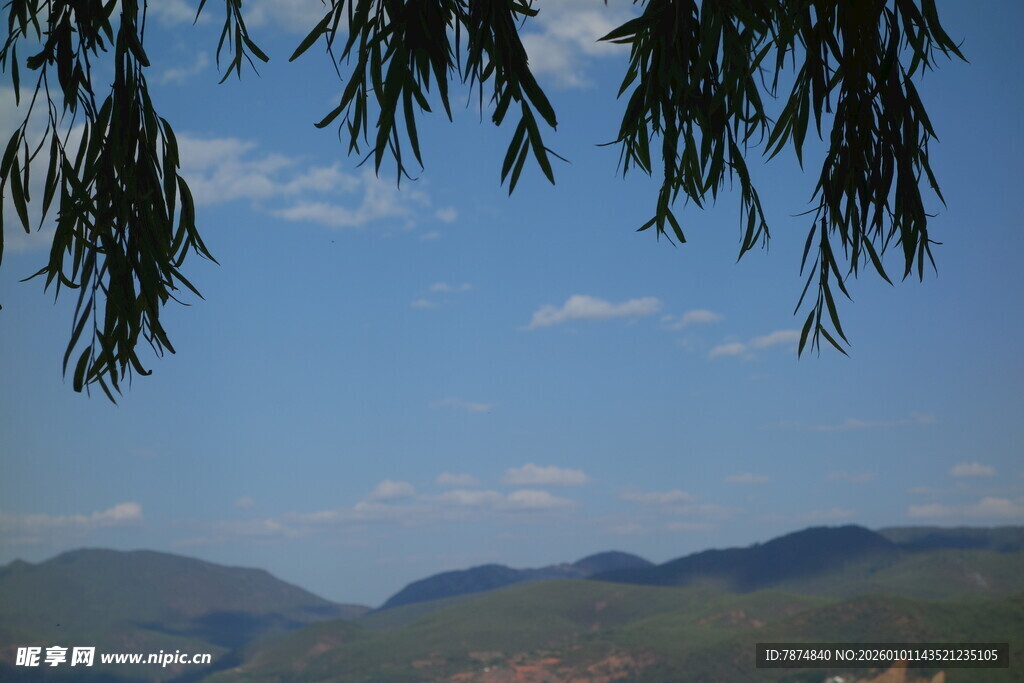 垂柳映远山 蓝天缀白云