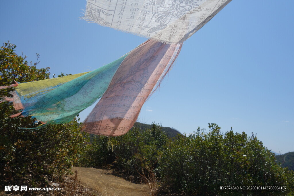 彩色经幡飘扬于山林间