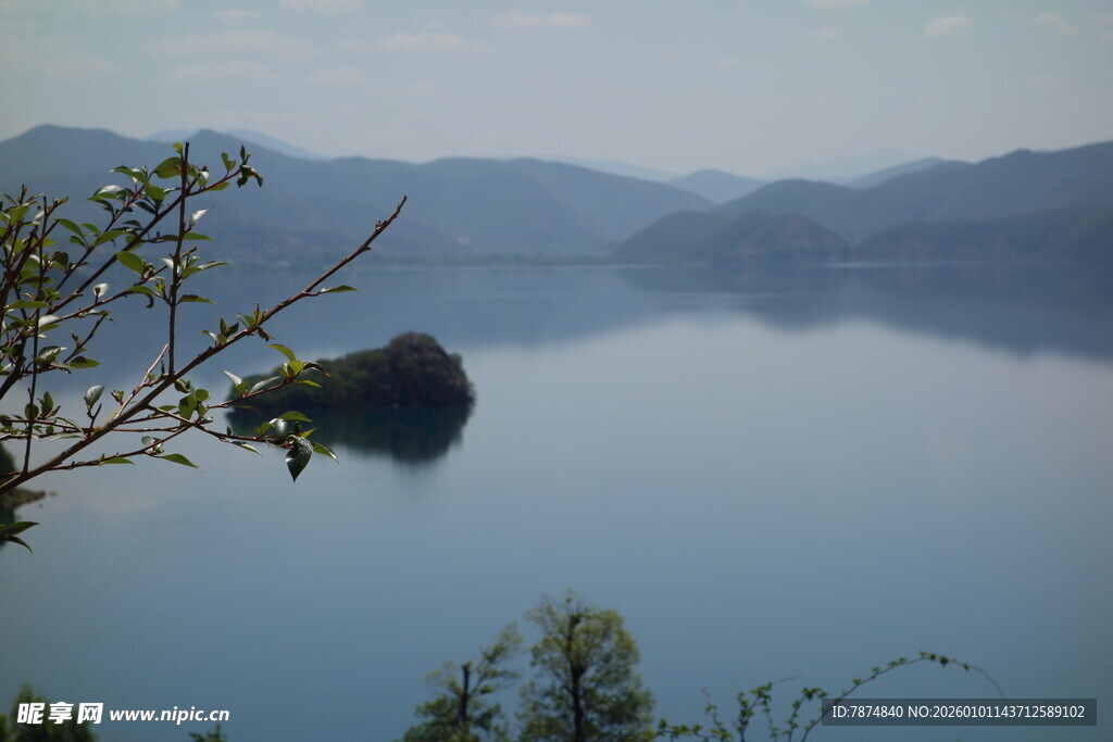 宁静湖景中的孤石与绿植