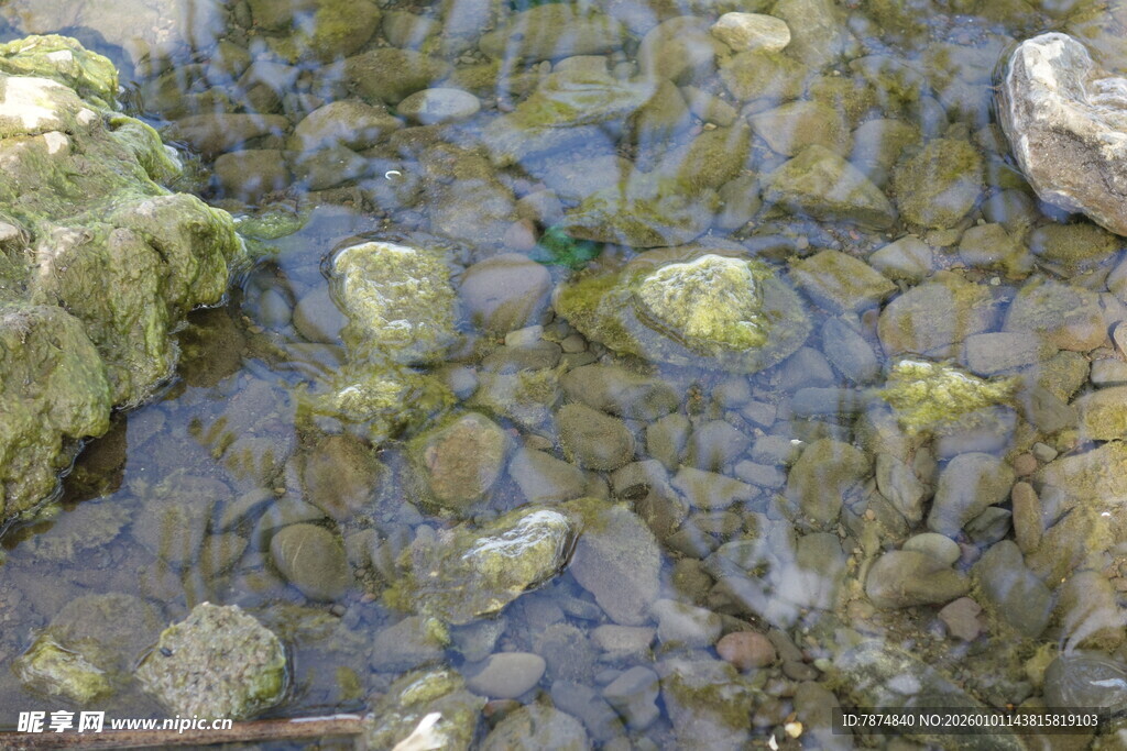 清澈溪底的多彩石块