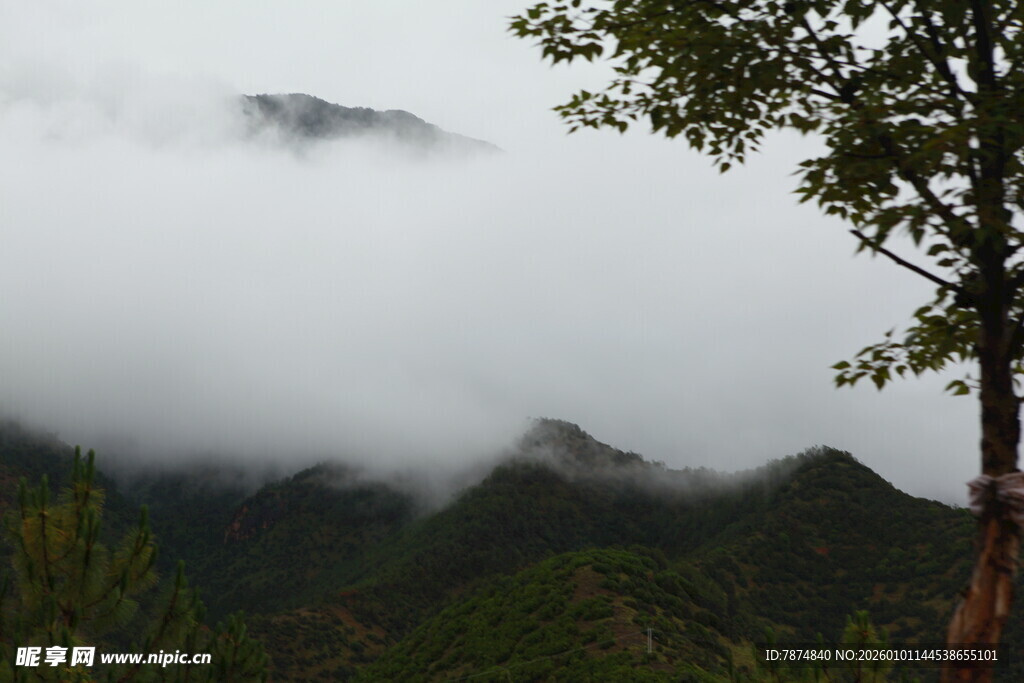 云雾缭绕的山间景致