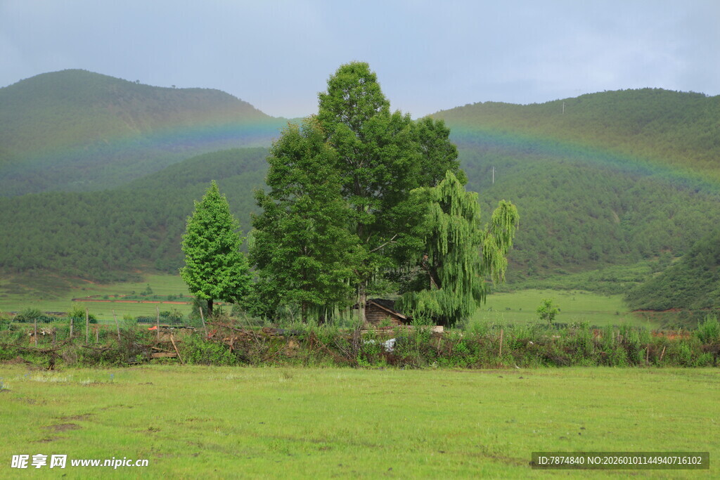 草原山林间的绚丽彩虹
