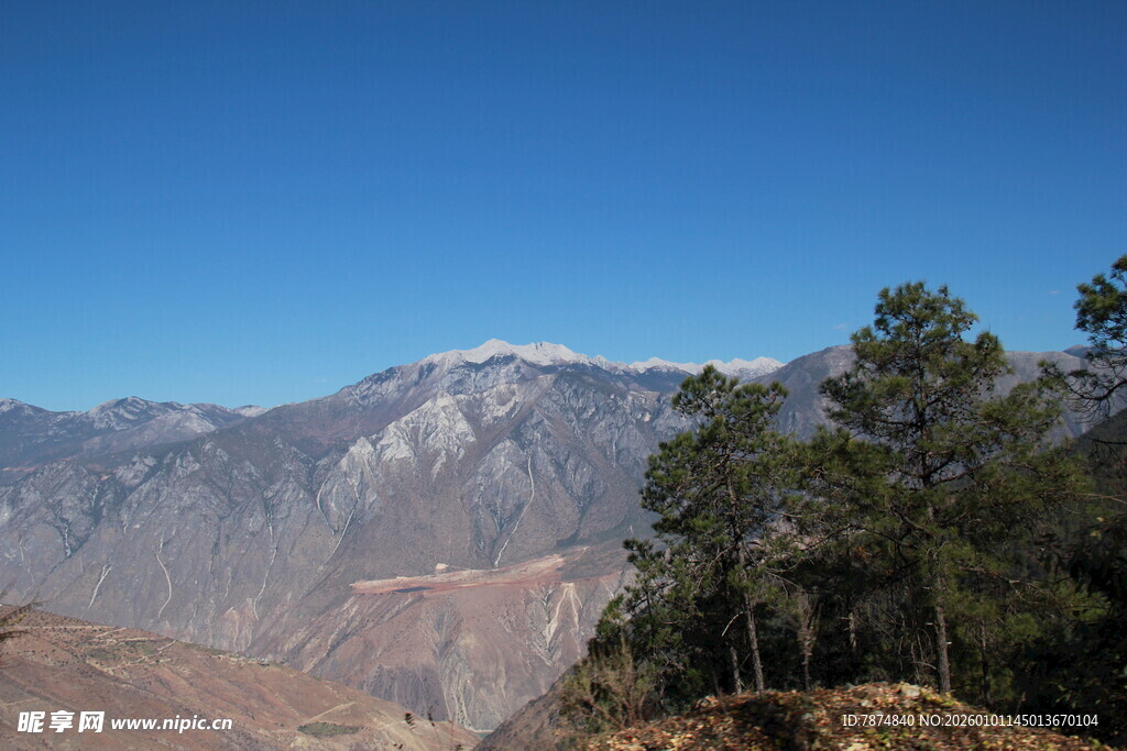 山间松林与远山脉景