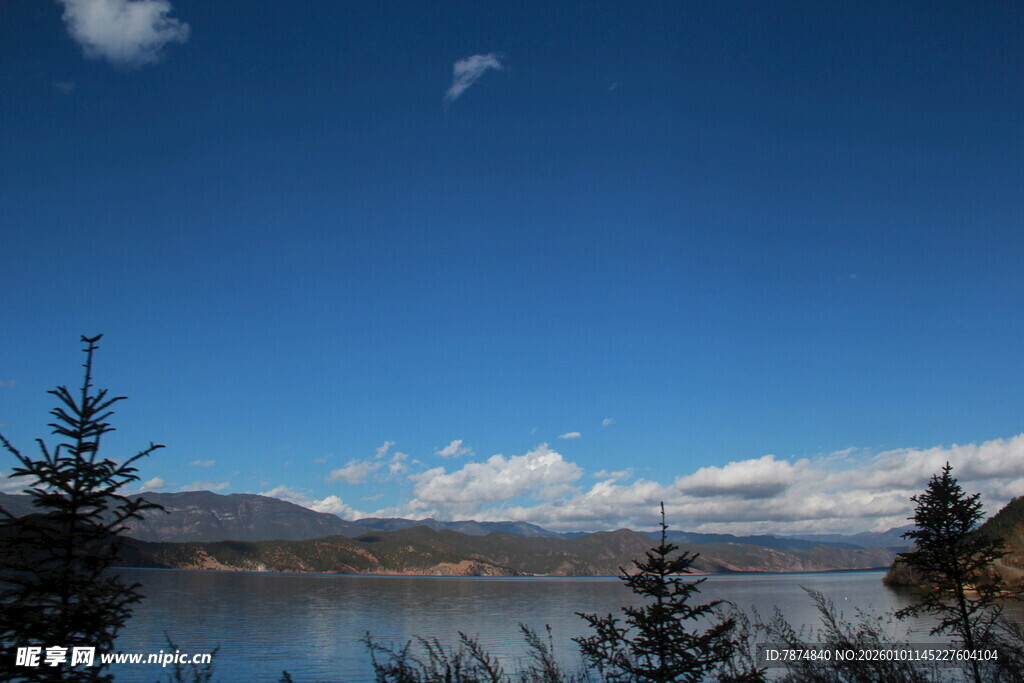 蓝天湖泊旁的葱郁树木