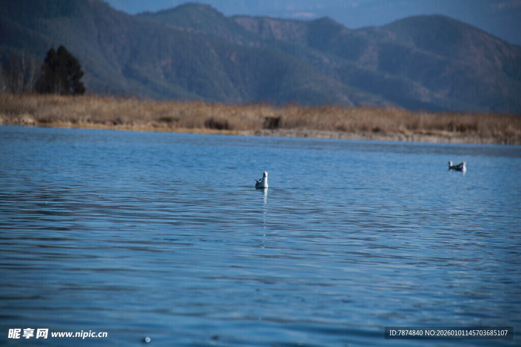 宁静湖水与远处山峦景观