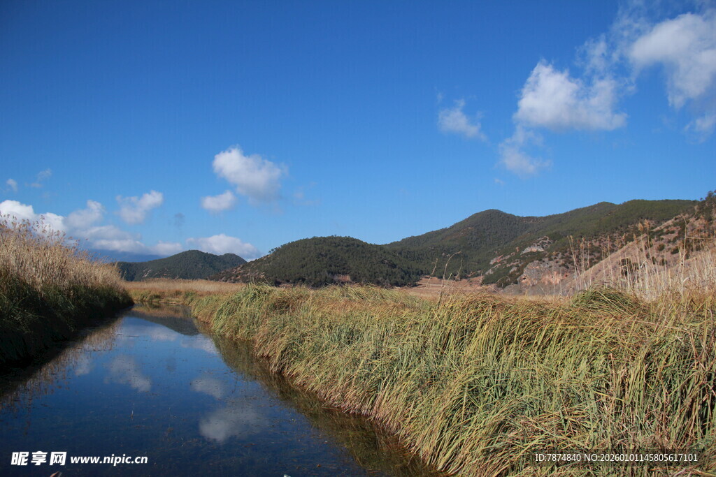 山间小河畔的清新自然景