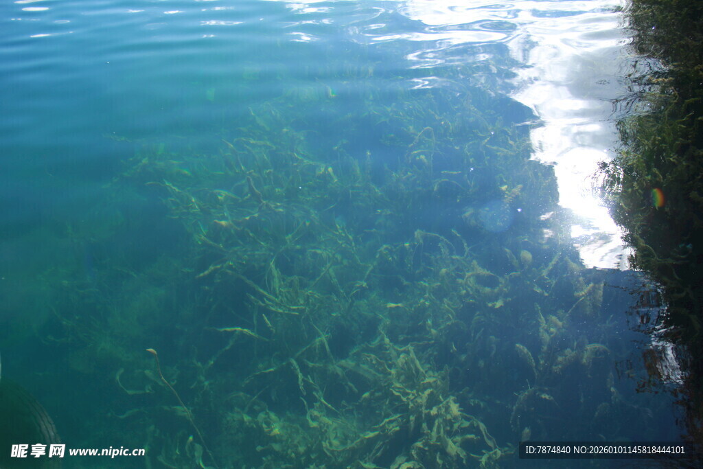 清澈湖水与水底景致