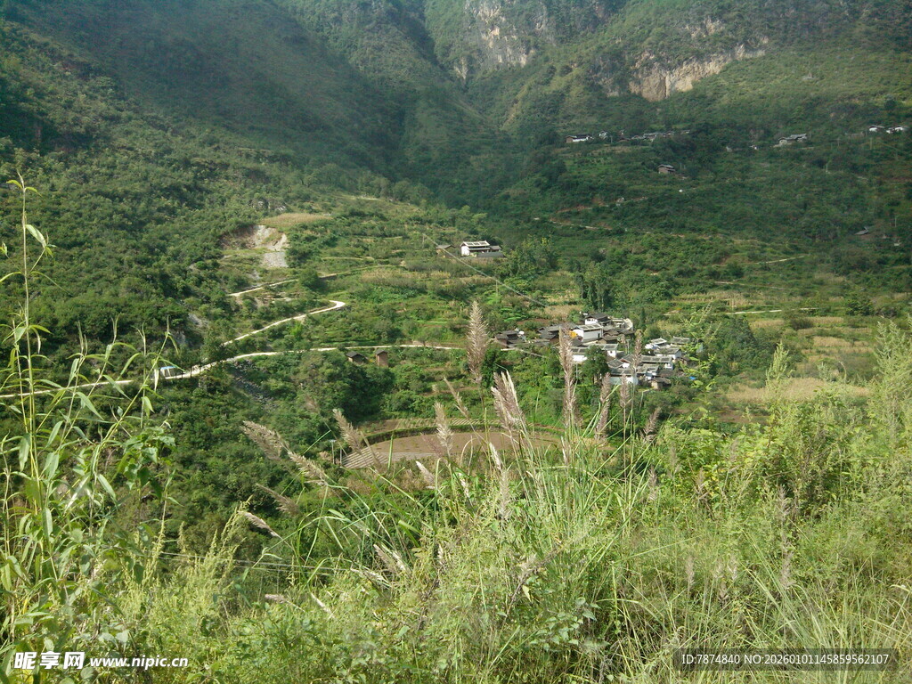 山间绿意盎然的自然风光