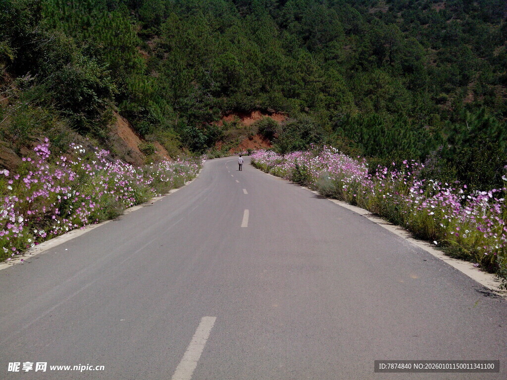 山间繁花相伴的蜿蜒公路