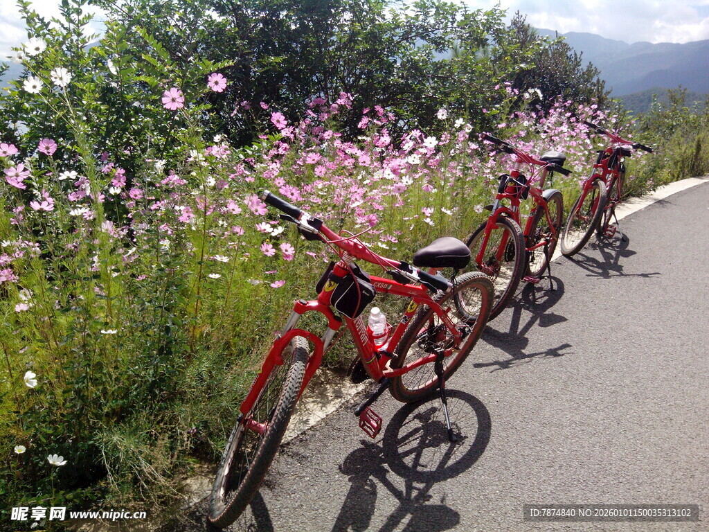 花海旁的骑行自行车队伍