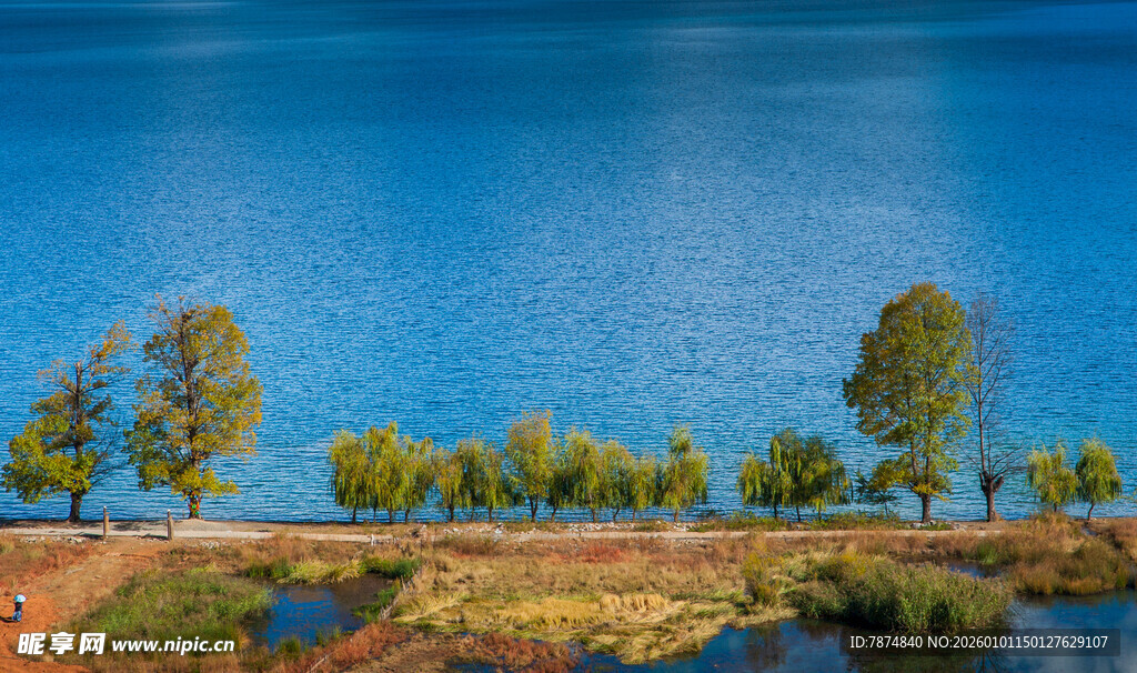 湖畔绿树成荫的美丽风光