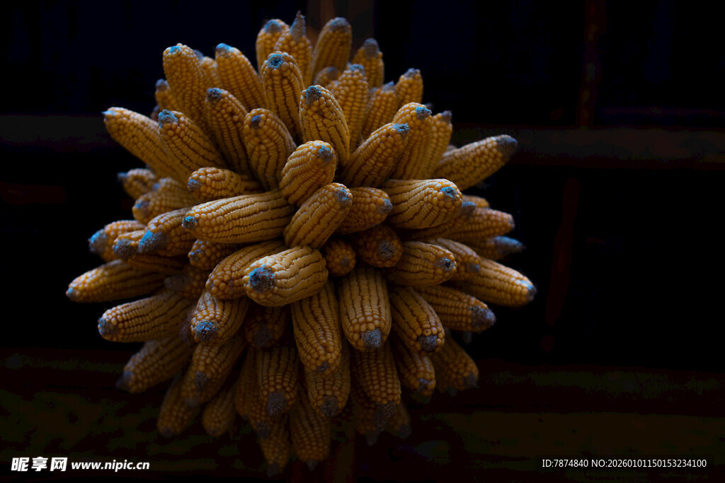 巨大金色玉米串