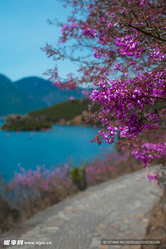 湖畔繁花伴小径美景