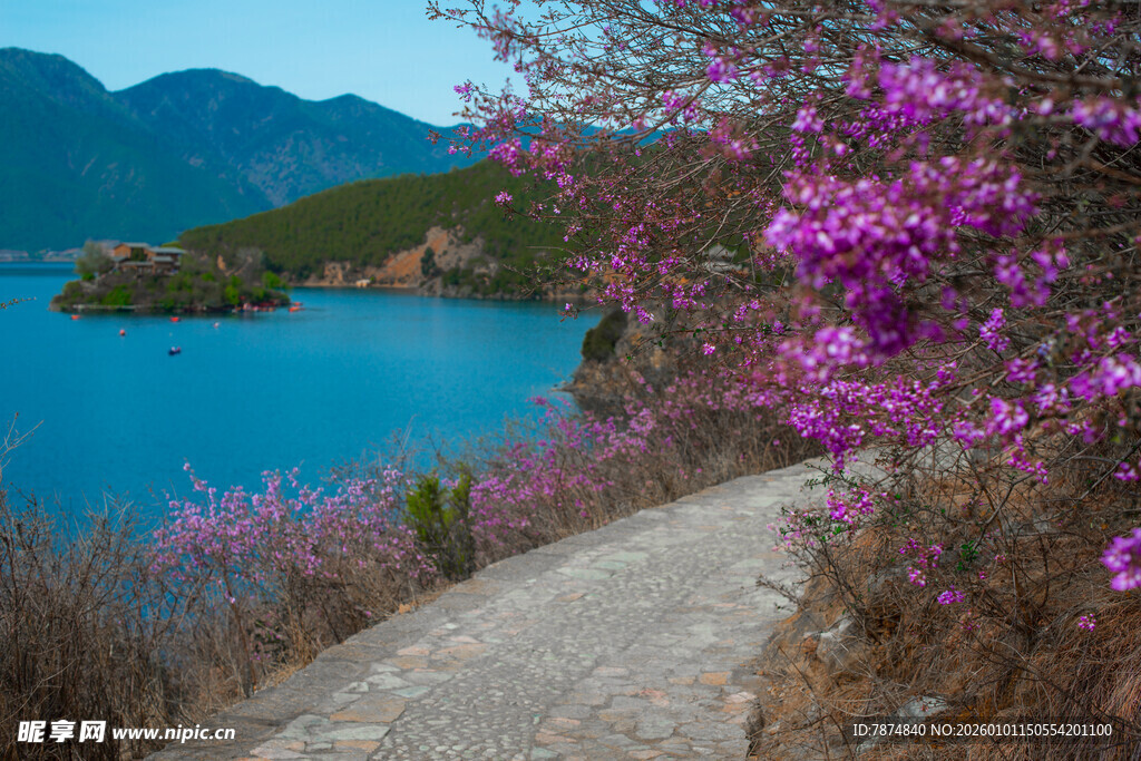 湖畔繁花小径 山水美景
