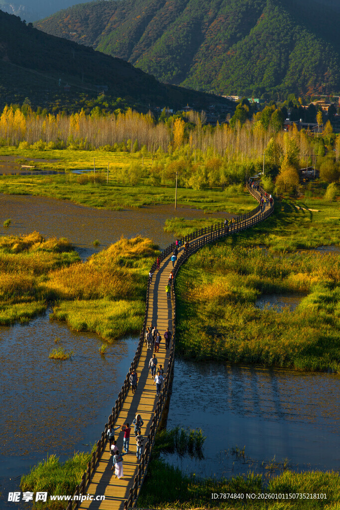秋日河畔木桥的美丽风光