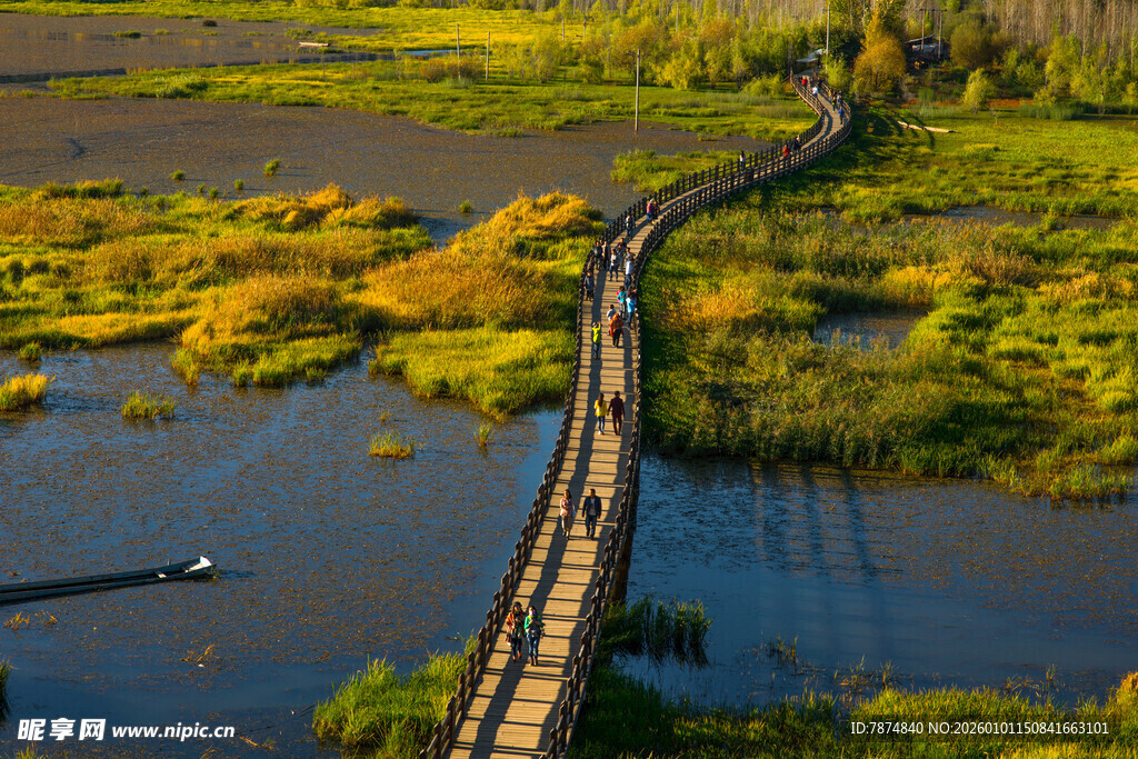 蜿蜒木桥横跨湿地美景