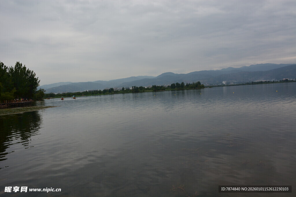 宁静湖面与岸边绿树风景