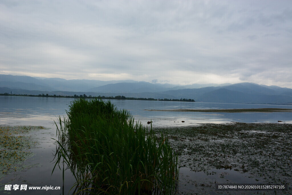 湖畔水草与远处山峦景致