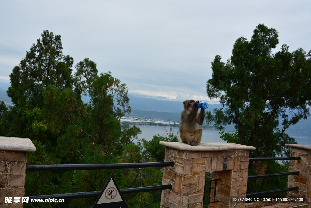 俯瞰山林与远处水域景观