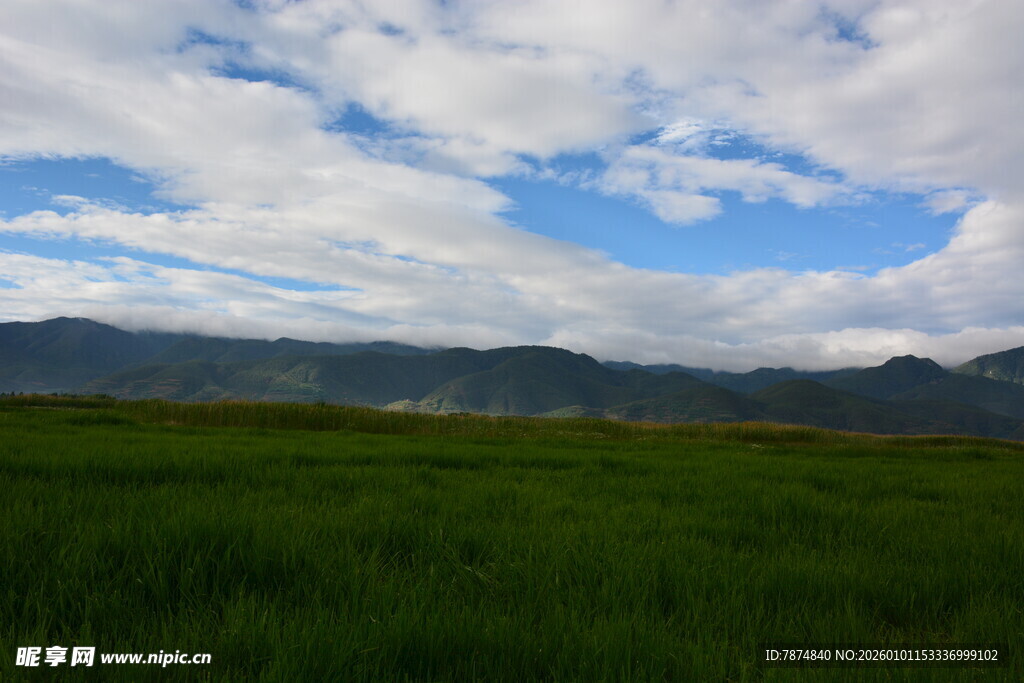 草原蓝天远山风景如画
