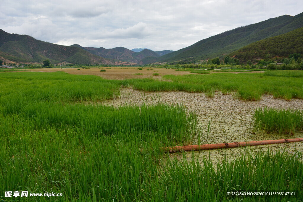 山间绿野田园风光
