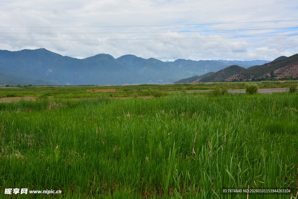 草原绿野与远山美景