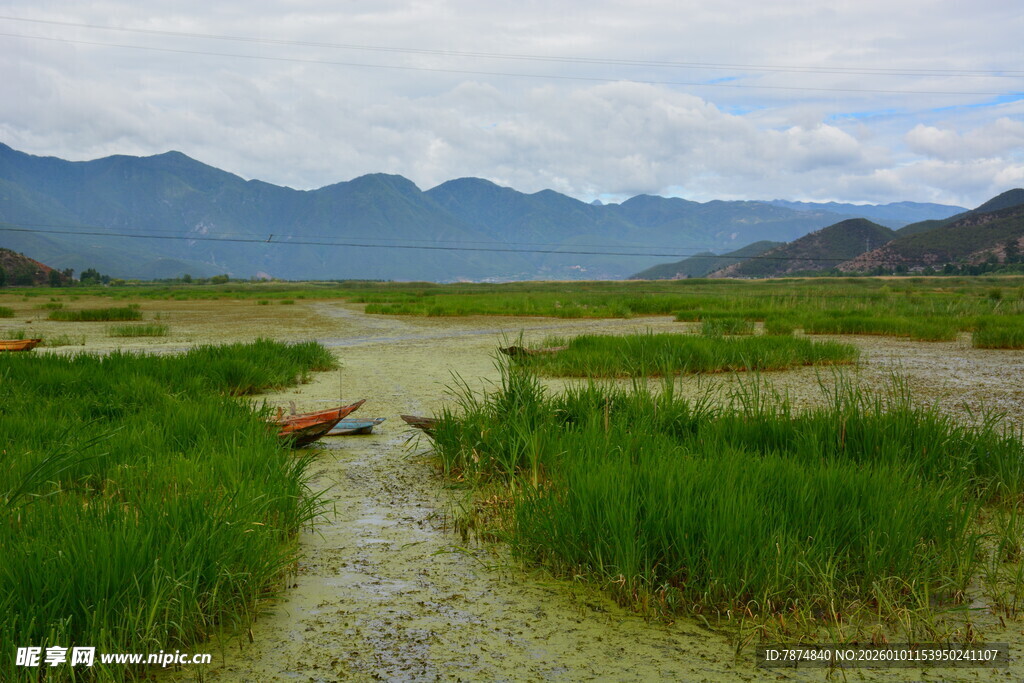 山间湿地 绿野溪流之景