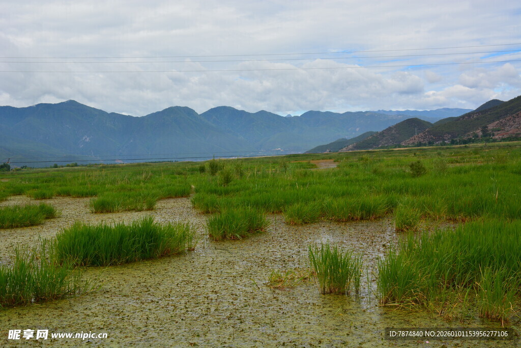 山间湿地景观