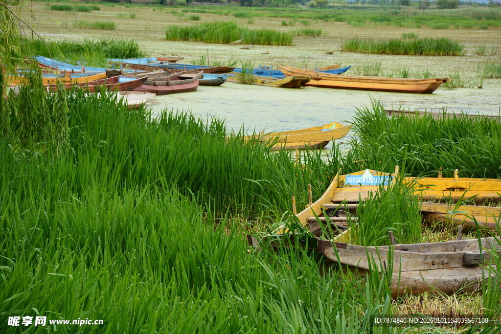河畔草间停泊的多彩小船