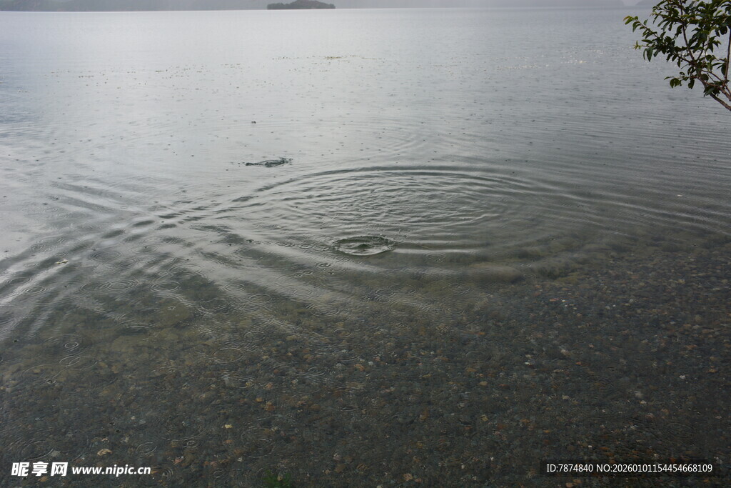 湖面涟漪 静谧自然之景