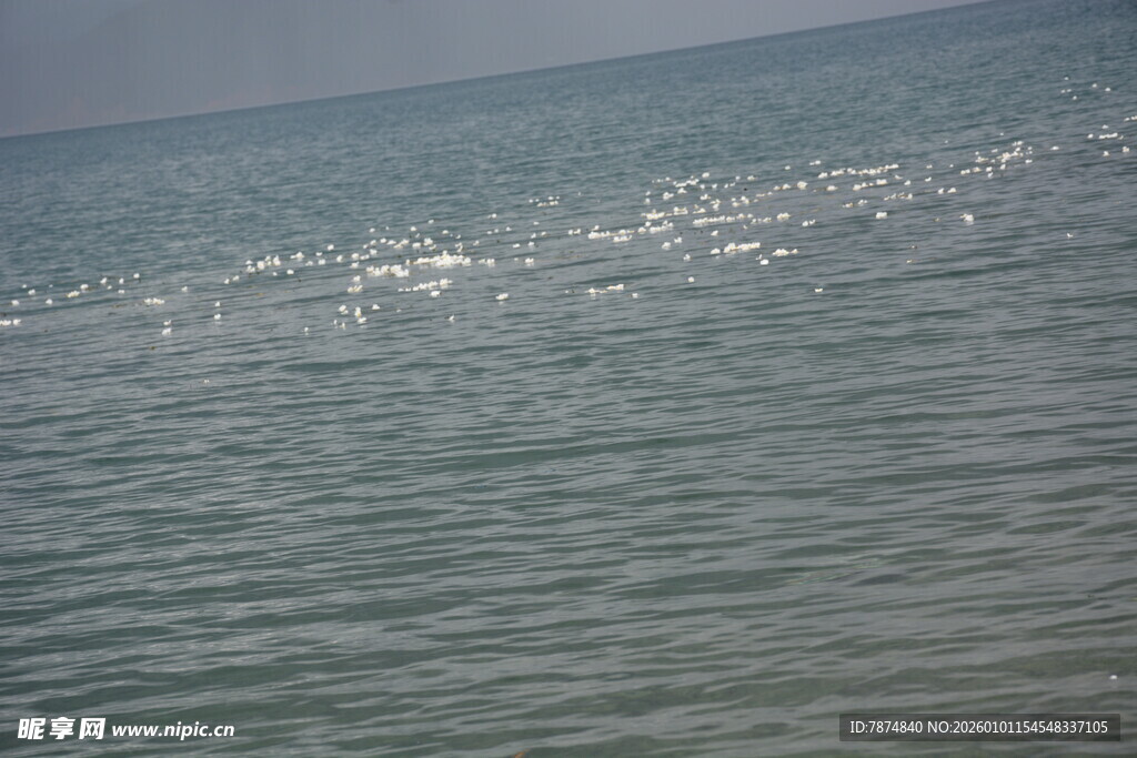 海面波光粼粼的美丽景象