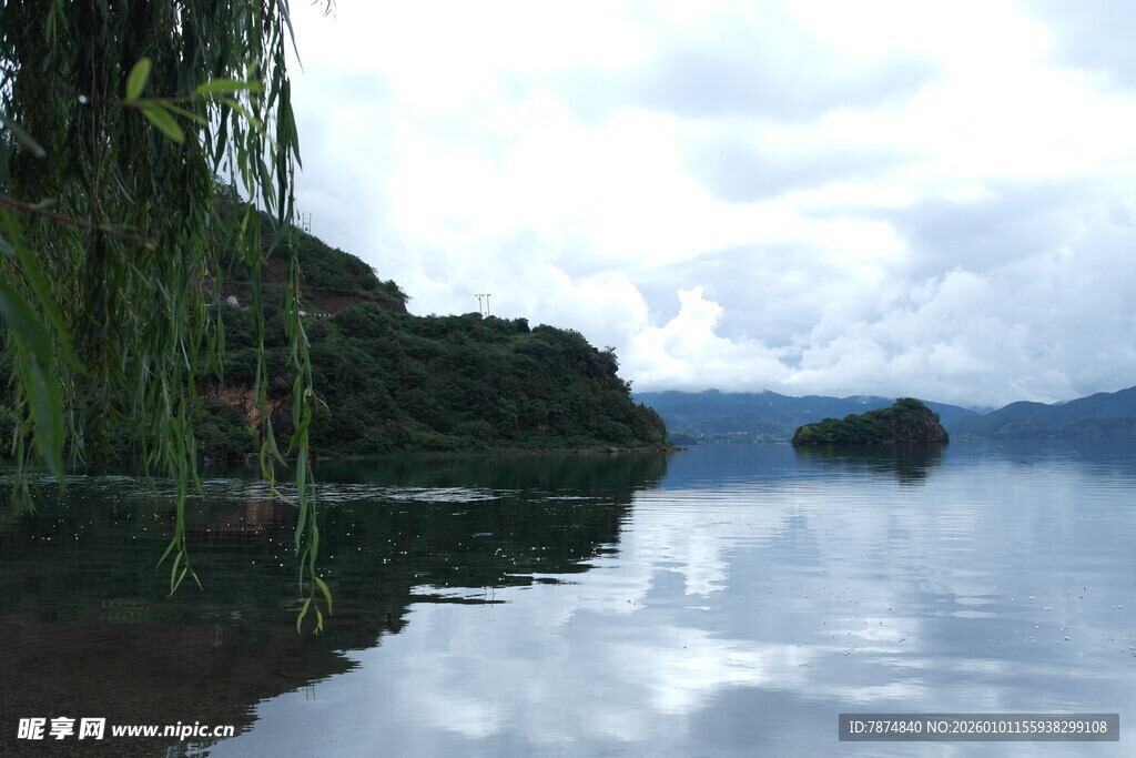 宁静湖畔垂柳映碧水