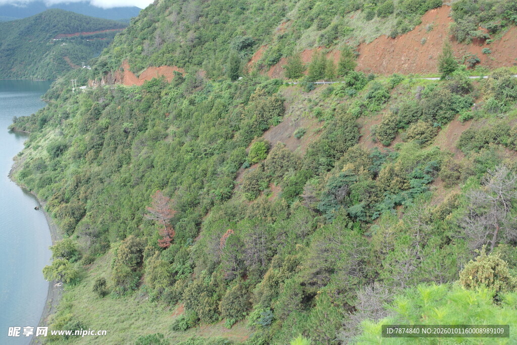 山间湖畔绿意盎然的景致