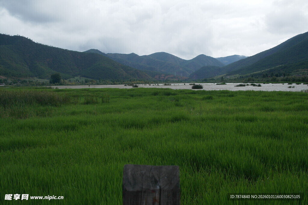 绿野青山间的宁静风光