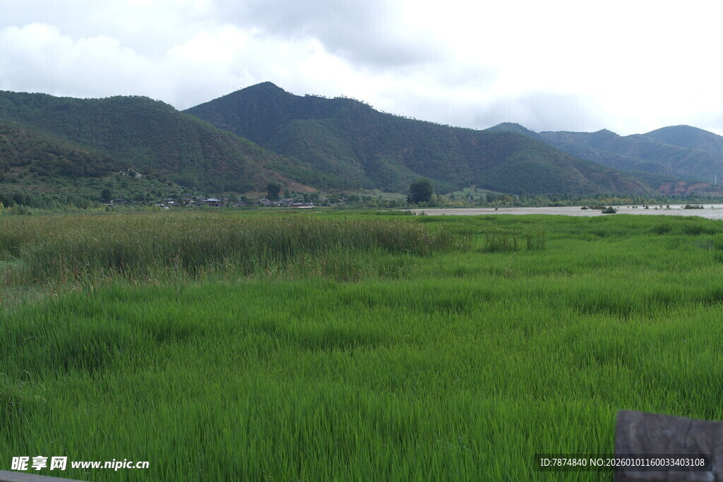 绿野青山间的田园风光