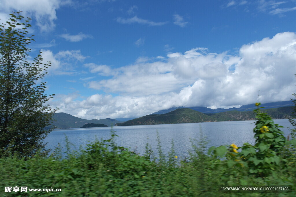 湖畔风光 蓝天白云伴绿植