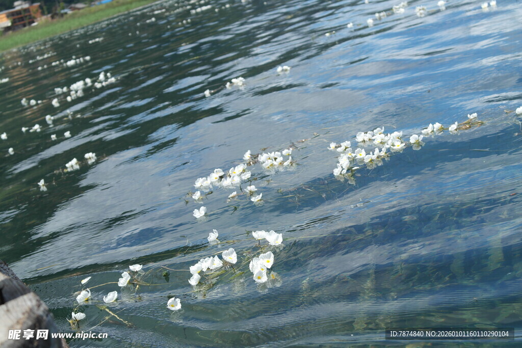 波光粼粼的水面