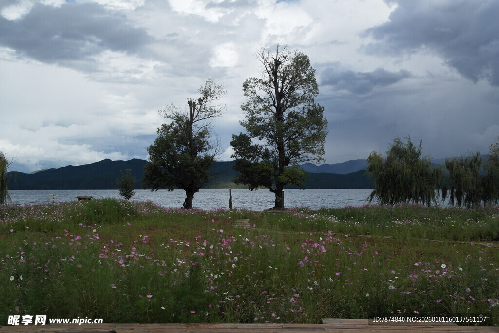 湖畔草木与阴沉天空之景