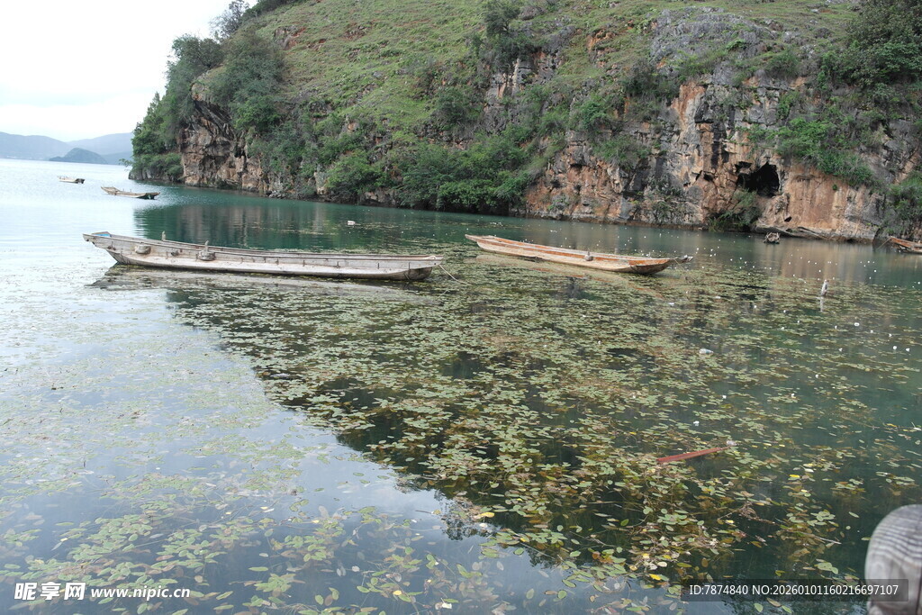 清澈湖水中的漂浮木