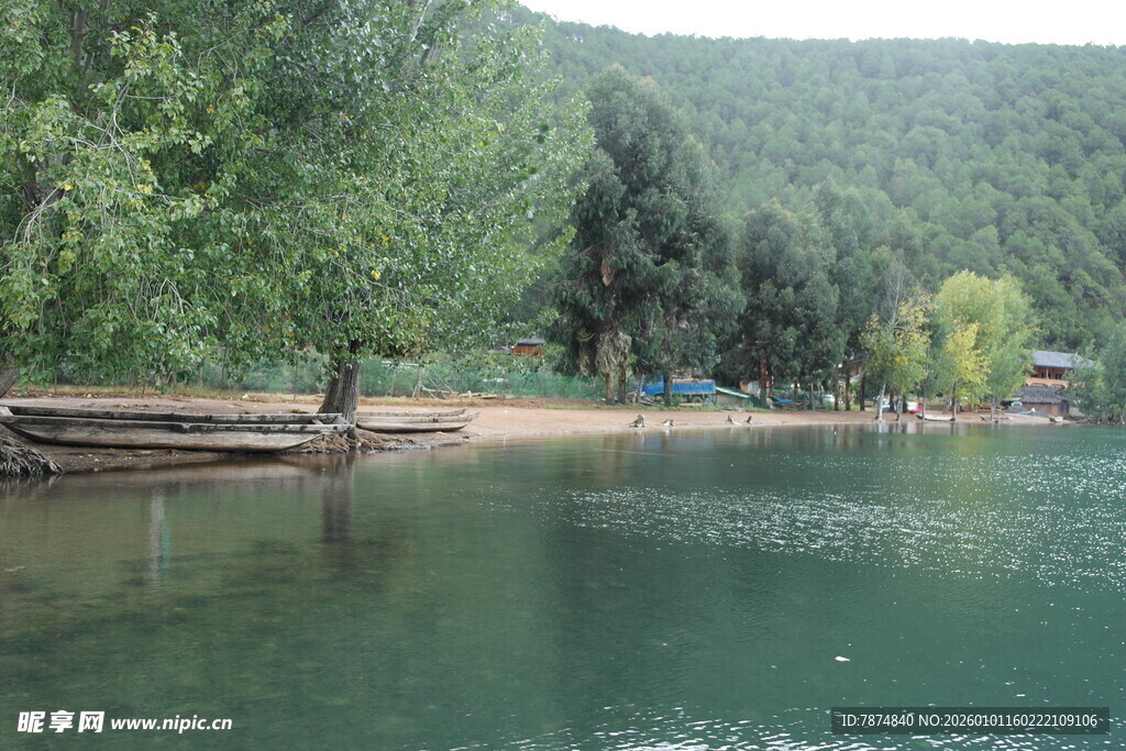 湖畔绿树成荫的宁静风光